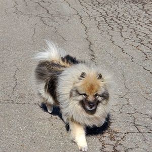 Meet your Posher, Lindsay